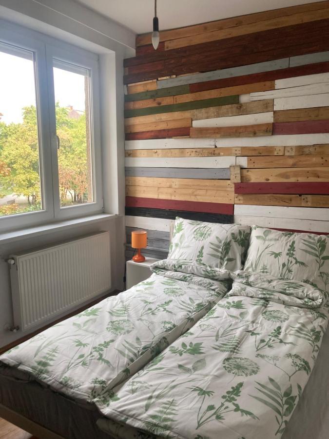 Designer Feszek Apartamento